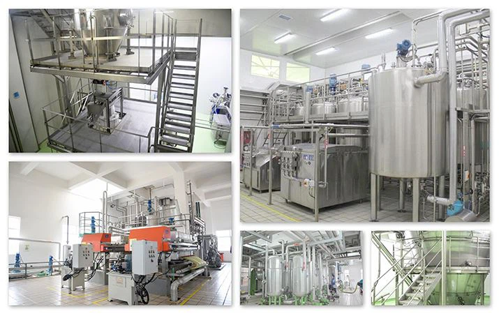 seawit production equipment